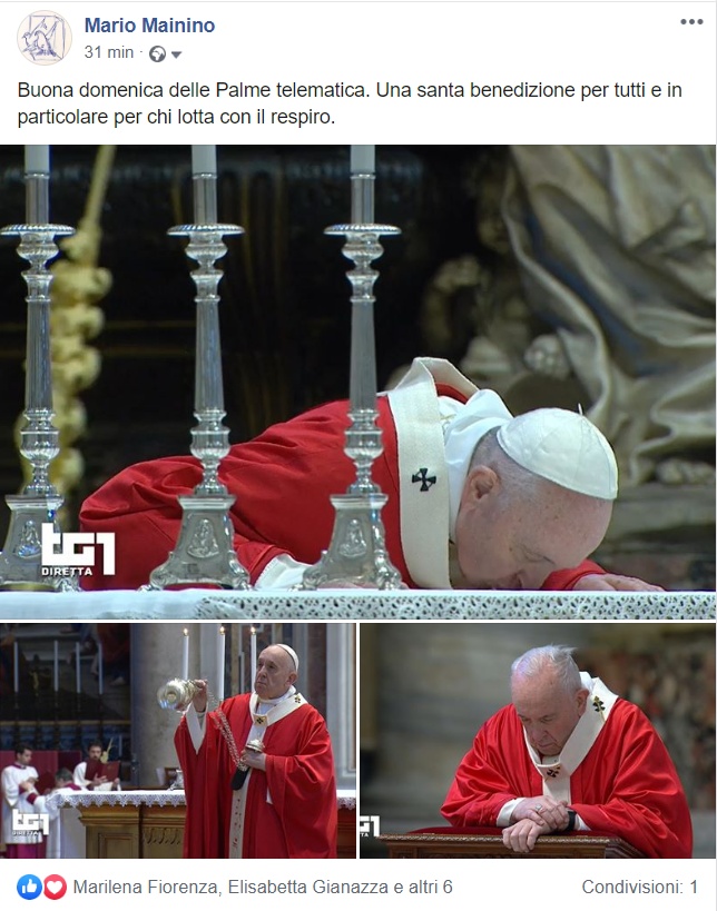 Le Palme di Papa Francesco