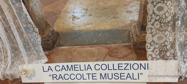 Gambol La Camelia Collezioni