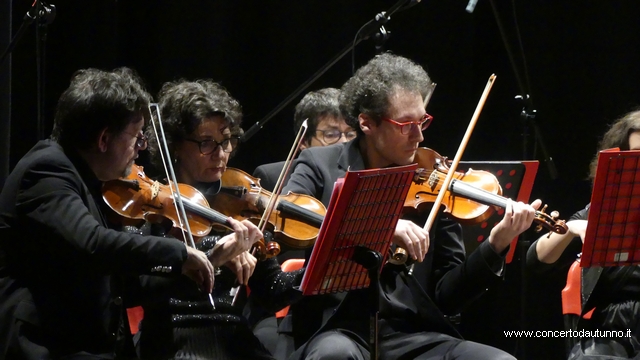 Orchestra da Camera del Basso Novarese