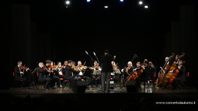 Orchestra Amadeus