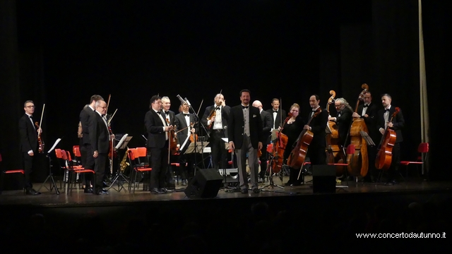 Orchestra Amadeus