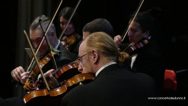 Orchestra Amadeus