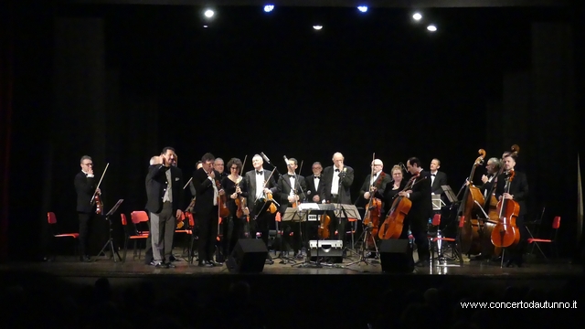 Orchestra Amadeus