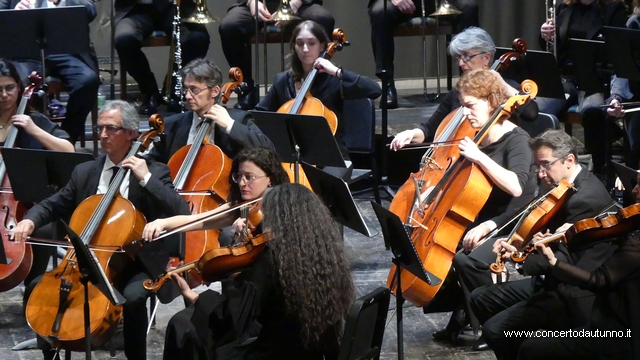 Orchestra Vigevano Irene Veneziano