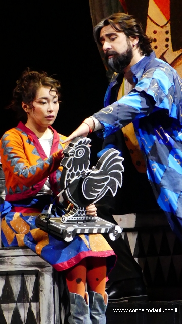 Coccia Novara Rossini Gon