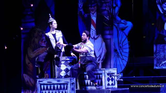 Coccia Novara Rossini Gon