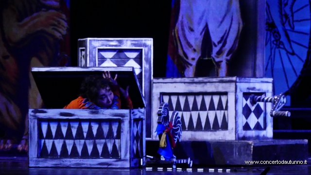 Coccia Novara Rossini Gon