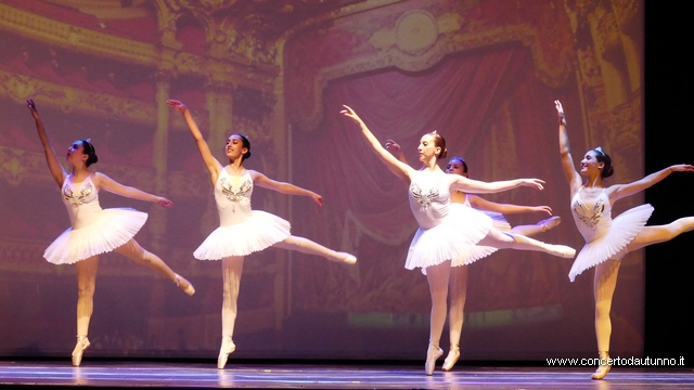 Dance Studio