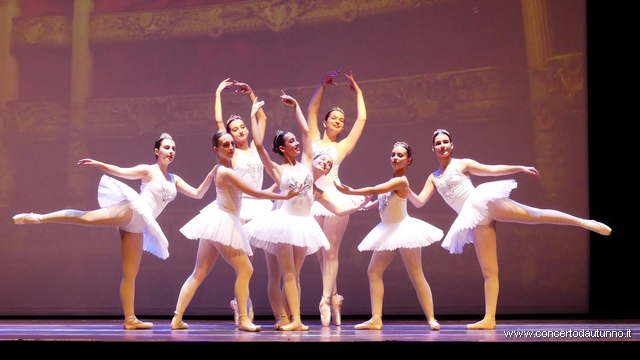 Dance Studio