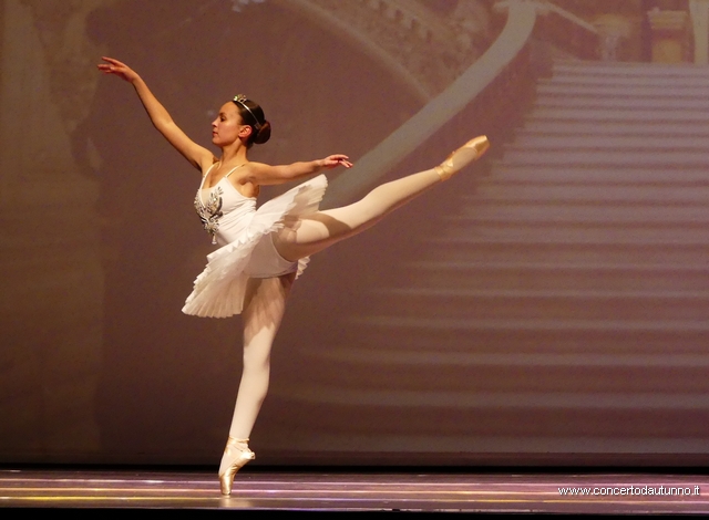 Dance Studio