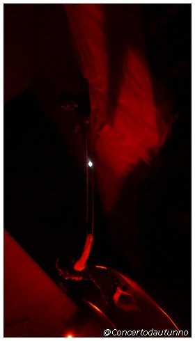 FILPRO Rigoletto