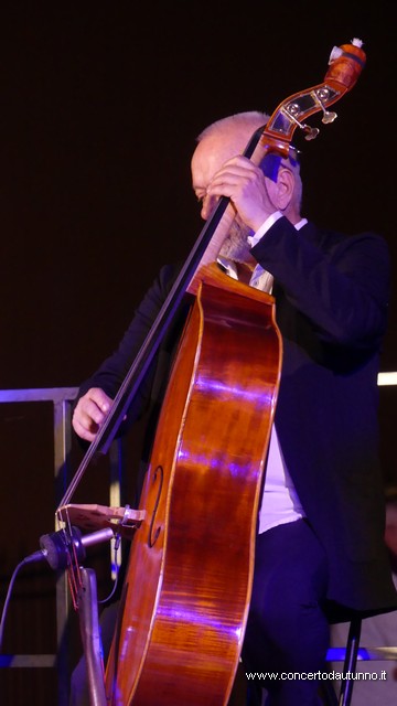 The Verdi sessions