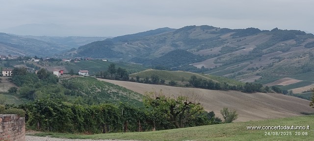 Montalto musica