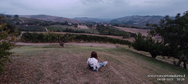 Montalto musica