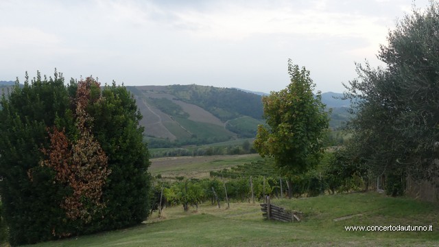Montalto musica