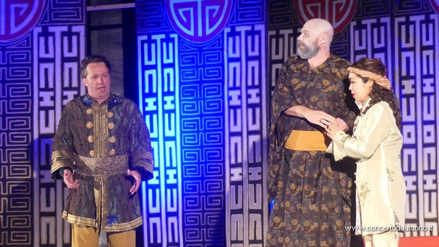 Opera in castello