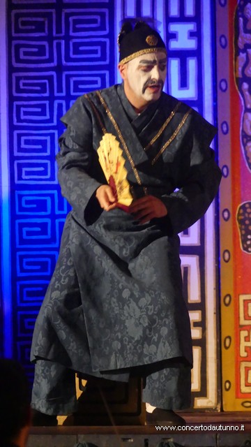 Opera in castello