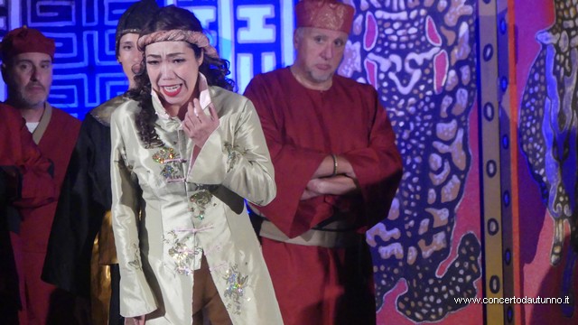 Opera in castello
