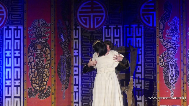 Opera in castello