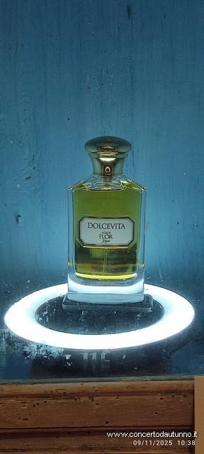 Giulia Bolcato, soprano Romer Ensemble