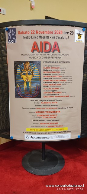 Magenta Lirico Lisca