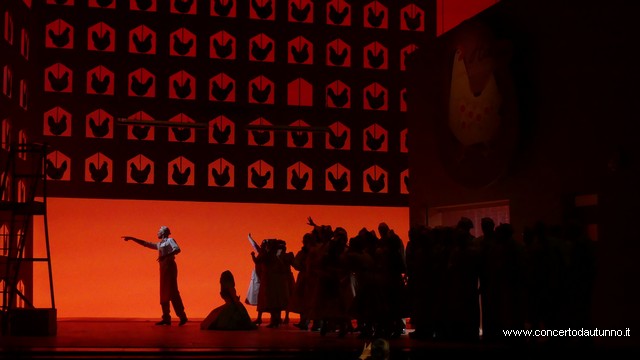 Coccia Elisir damore