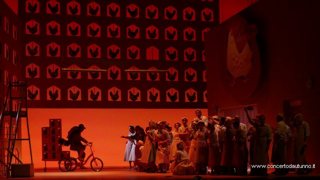 Coccia Elisir damore