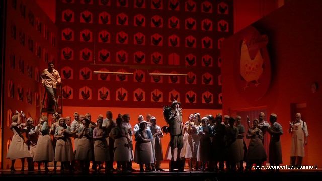 Coccia Elisir damore