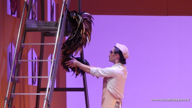 Coccia Elisir damore