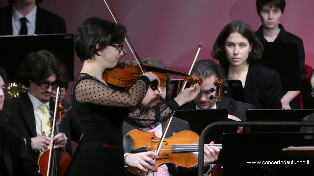 Totem Magenta Concerto Rivolta