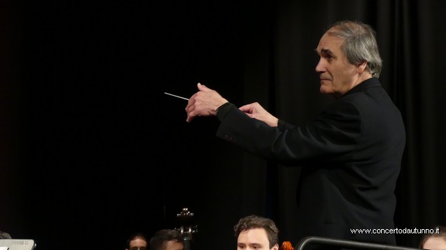 Totem Magenta Concerto Rivolta