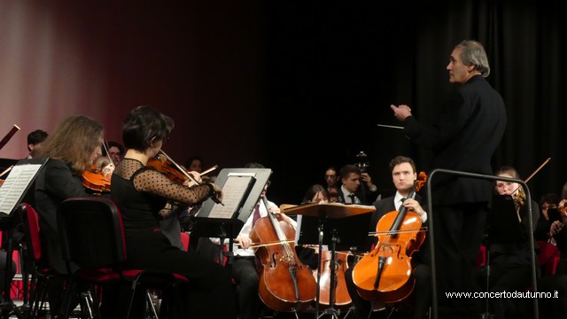 Totem Magenta Concerto Rivolta