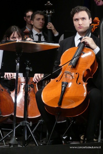 Totem Magenta Concerto Rivolta