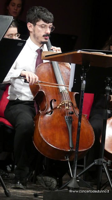 Totem Magenta Concerto Rivolta