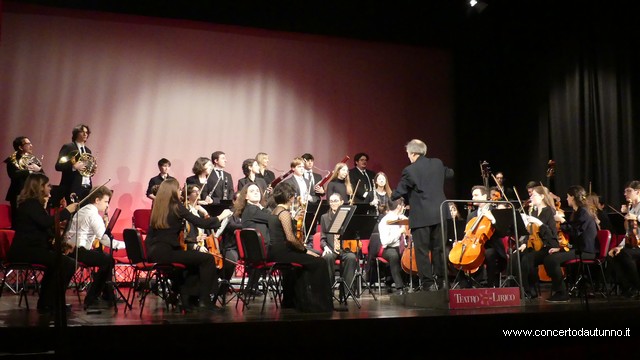 Totem Magenta Concerto Rivolta