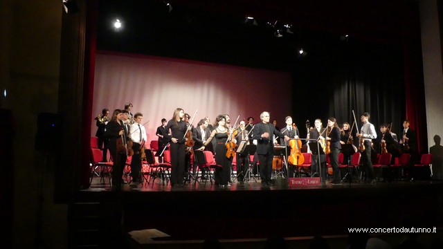 Totem Magenta Concerto Rivolta