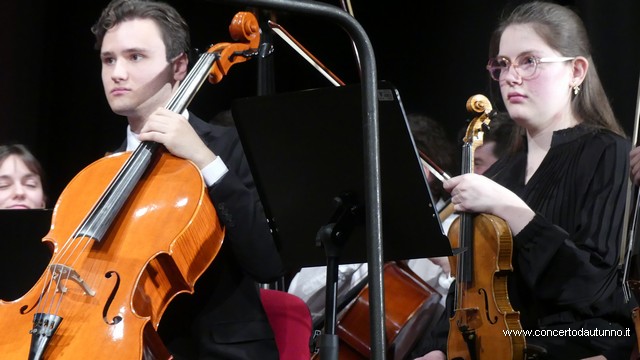 Totem Magenta Concerto Rivolta