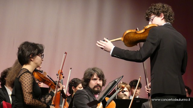 Totem Magenta Concerto Rivolta