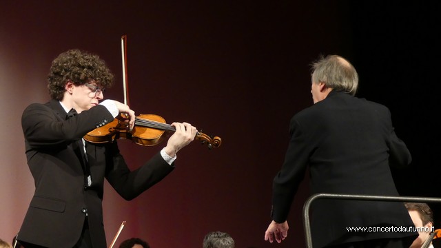 Totem Magenta Concerto Rivolta