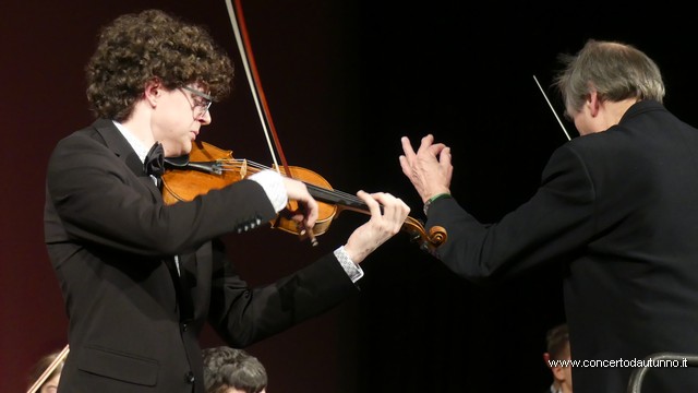 Totem Magenta Concerto Rivolta