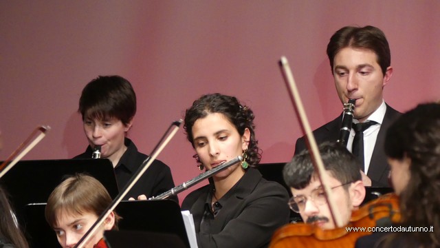 Totem Magenta Concerto Rivolta