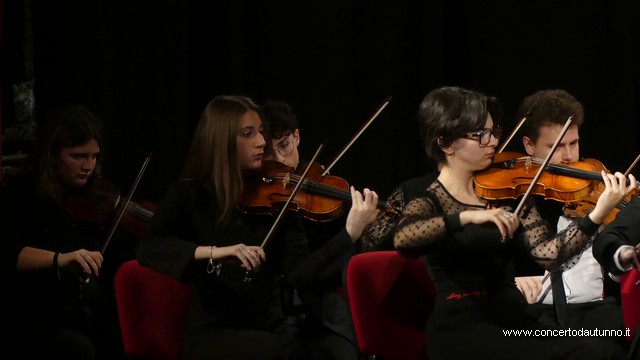 Totem Magenta Concerto Rivolta