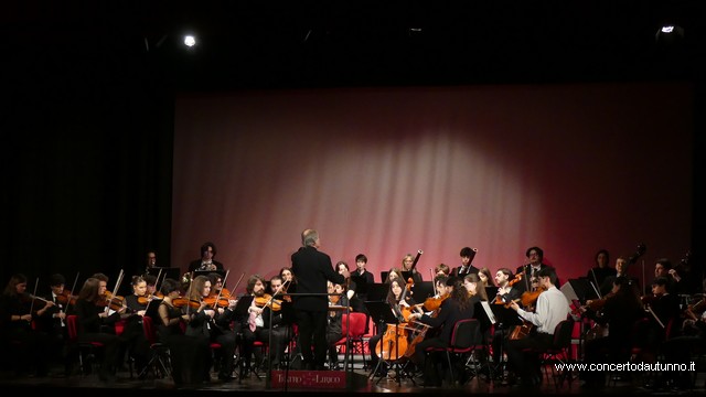 Totem Magenta Concerto Rivolta