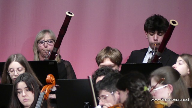 Totem Magenta Concerto Rivolta