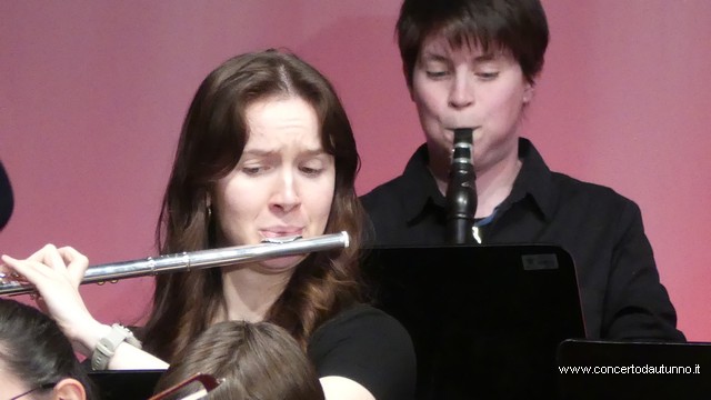 Totem Magenta Concerto Rivolta