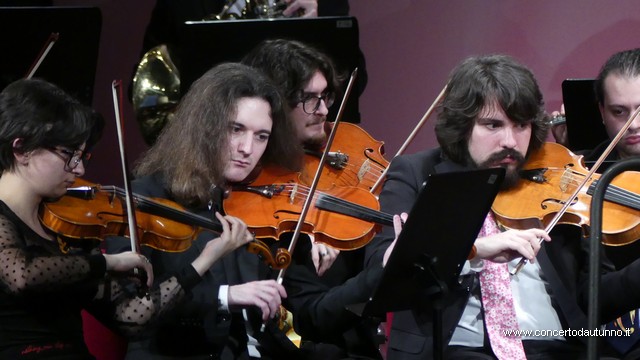 Totem Magenta Concerto Rivolta