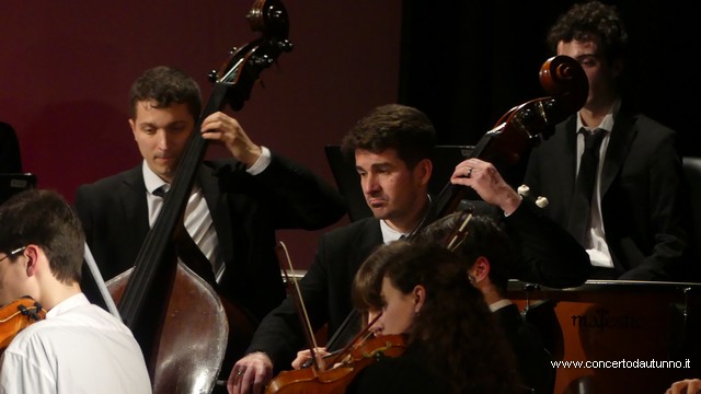 Totem Magenta Concerto Rivolta