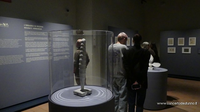 Regina Cassolo Antologica