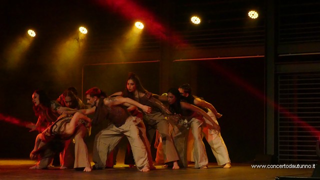 JESUS in Cavallerizza