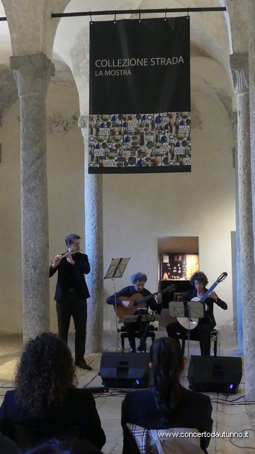 Museo Archeologico Nazionale della Lomellina